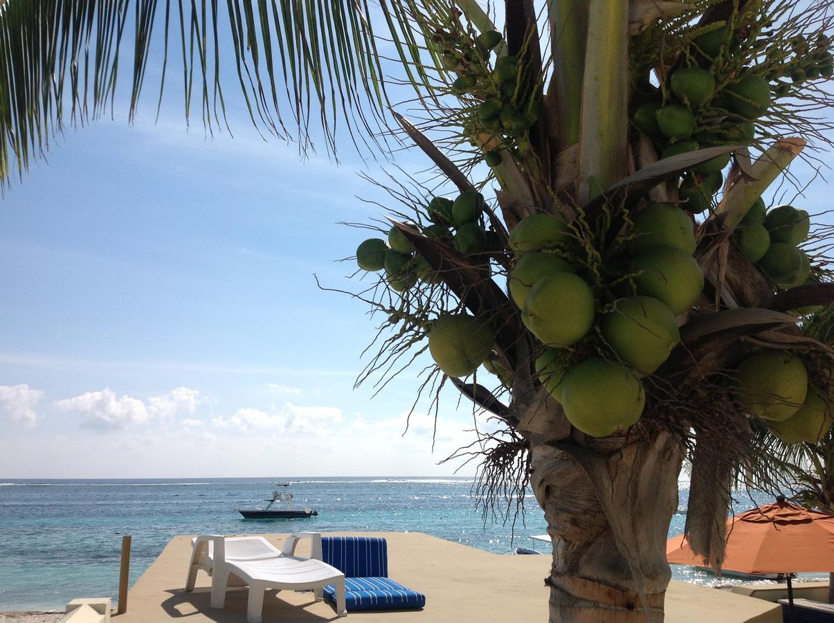 Casa Toucan Appartement Puerto Morelos Buitenkant foto